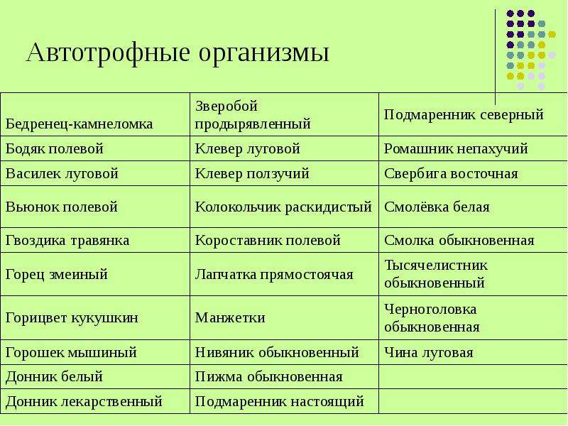 Перечень организмов. Альфатрофные организмы. Авто рофные организмыы. Пфтотрофные опгантщсы. Автотрофные организмы.