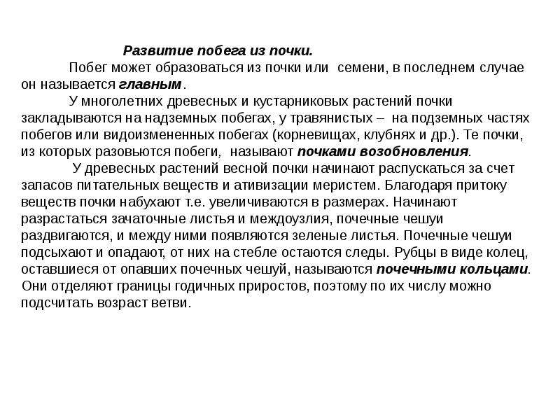 Побег развитие побега из почки. Развитие побега из почки. Развертывание почек растения. Превращение почки в побег. Заключение на тему побег Промобота.