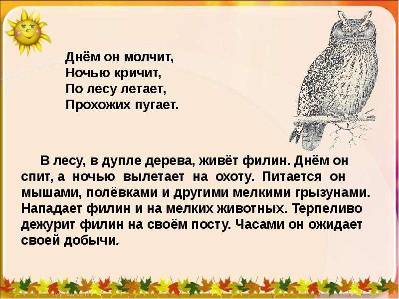 Еще и филин не кричал. Филин стихи для детей. Загадка про сову для детей. Загадка про Филина для детей. Стихи про Филина для детей.