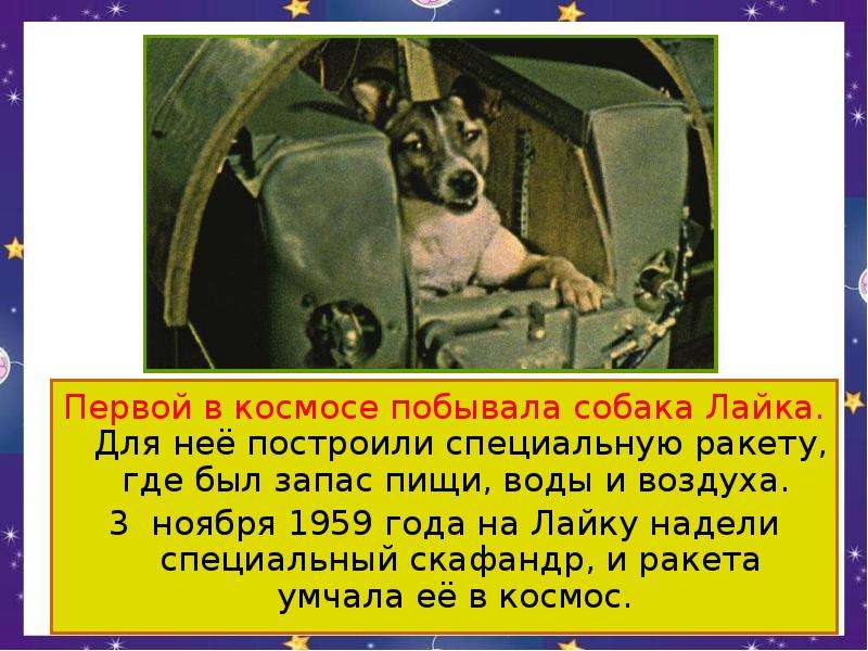 Первой в космосе побывала собака Лайка. Для неё построили специальную ракету, где был запас пищи, во
