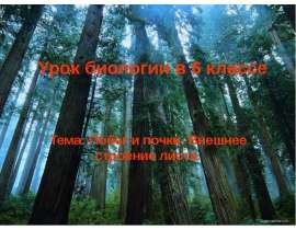Побег и почки. Внешнее строение листа 6 класс
