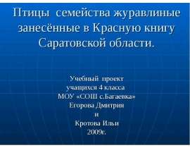 Птицы семейства журавлиные занесённые в Красную книгу Саратовской области