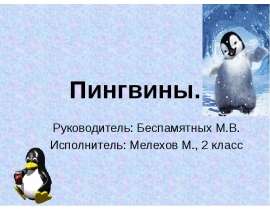 Пингвины 2 класс