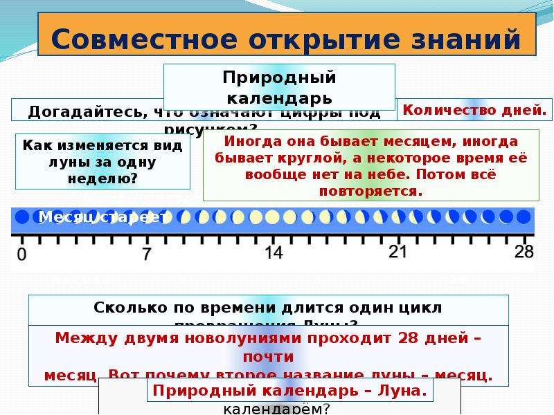 Природные часы презентация