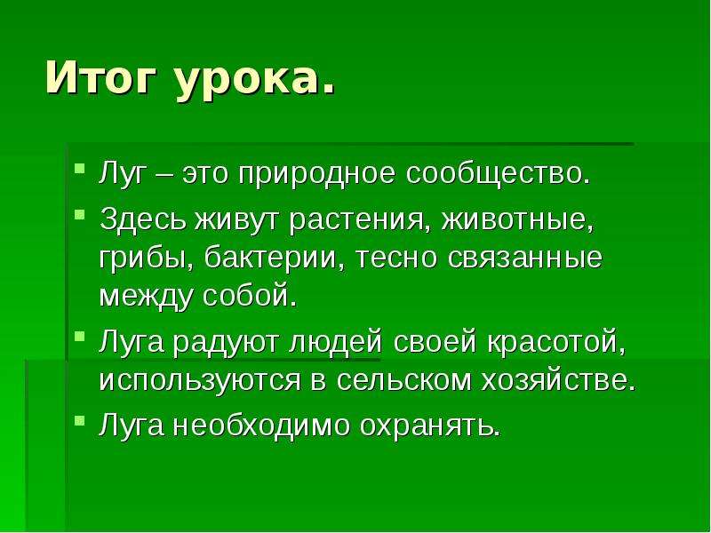 Презентация про жизнь