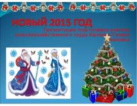 Новый 2015 год