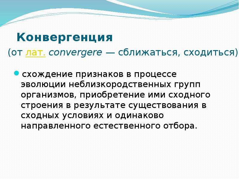 Естественно направлены. Схождение признаков в процессе эволюции. Конвергенция зрения. Стилистическая конвергенция. Процесс схождения признаков.