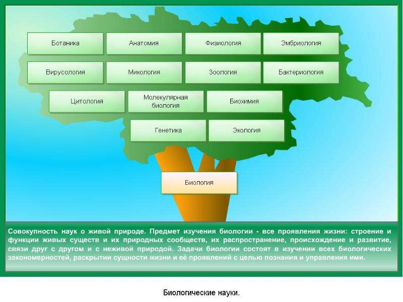 Презентация ботаника 9 класс