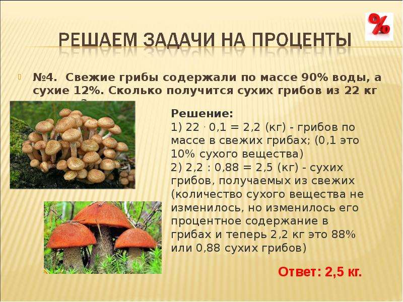 Сколько держат грибы. Задача про грибы на проценты. Вес вареных грибов и свежих. Свежие грибы содержат 90. Сколько сушеных грибов получается из 1 кг свежих.