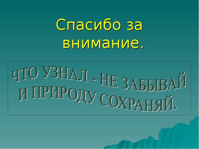 Спасибо за внимание берегите природу картинки для презентации