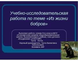 Из жизни бобров
