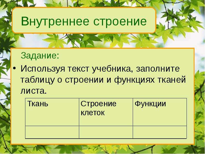 Таблица строение листьев. Таблица по биологии 6 класс внутреннее строение листа. Внутреннее строение листьев таблица. Внешнее строение листа таблица. Внутреннее строение листа 6 класс биология таблица.