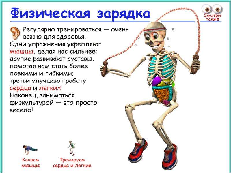 Твое тело 1 класс презентация планета знаний