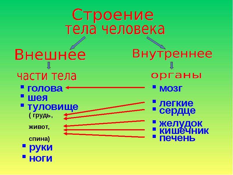 План конспект человек и мир 3 класс