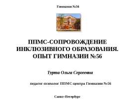 ППМС - сопровождение инклюзивного образования. Опыт гимназии № 56