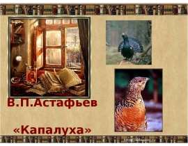 План астафьева капалуха