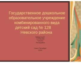 Государственное дошкольное образовательное учреждение комбинированного вида детский сад № 128 Невского района