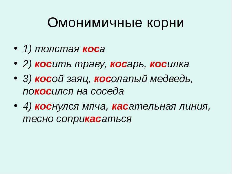 Систематизация и обобщение по теме словообразование. Омонимичные корни. Омонимичные корни примеры. Слова с омонимичными корнями. Корневые омонимы.