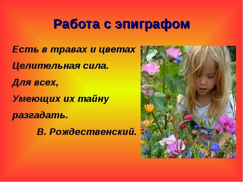 Расскажи цветочек. Есть в травах и цветах Целительная сила. О чем говорят цветы вопросы. Вопросы из сказки о чём говорят цветы. Есть в травах и цветах Целительная сила Автор.