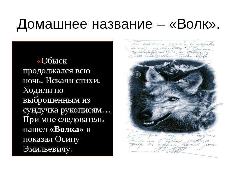 Почему волк назван волком. Имя для волка. Имена для Волков. Волчьи имена. Имя для волка на русском.