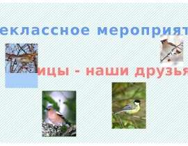Птицы - наши друзья!