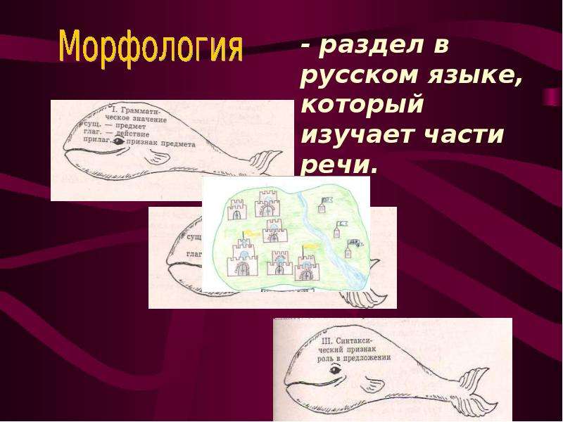 Уроки морфологии. Морфология 3 класс. Проект морфология. Морфология 3 класс русский язык. Проект морфология 3 класс.