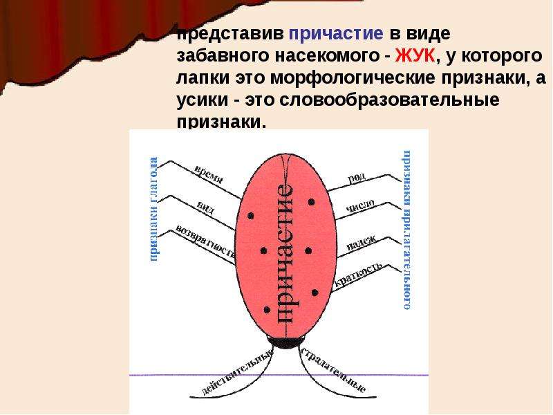 Все о причастии проект