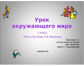 Мы заняты разным делом (1 класс)