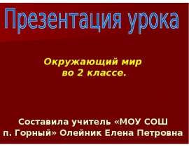 Насекомые леса (2 класс)