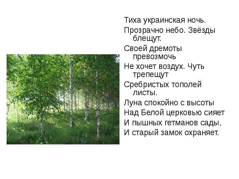 Тиха украинская ночь. Тиха украинская ночь прозрачно небо звезды блещут. Стих тиха украинская ночь. Тиха украинская ночь текст. Тиха украинская ночь прозрачно небо текст.