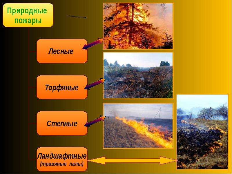 Лесные степные и торфяные пожары. Лесные, степные, торфяные, подземные пожары. Торфыяне Лесные и Степне пожар. Лесные и торфяные пожары. Лесные и степные пожары.