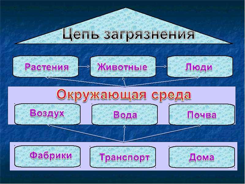 Какие цепи загрязнения могут возникнуть в этих случаях продолжите схемы и устно объясните их