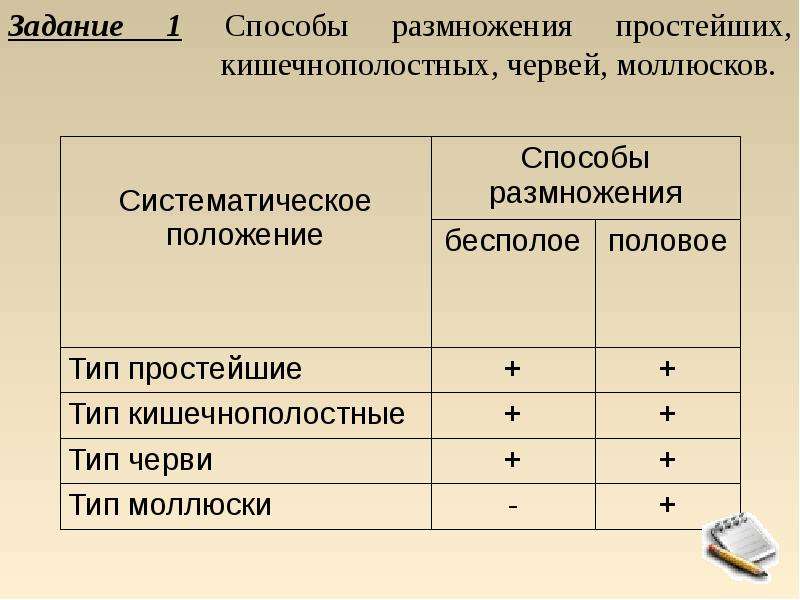 Органы размножения 7 класс презентация