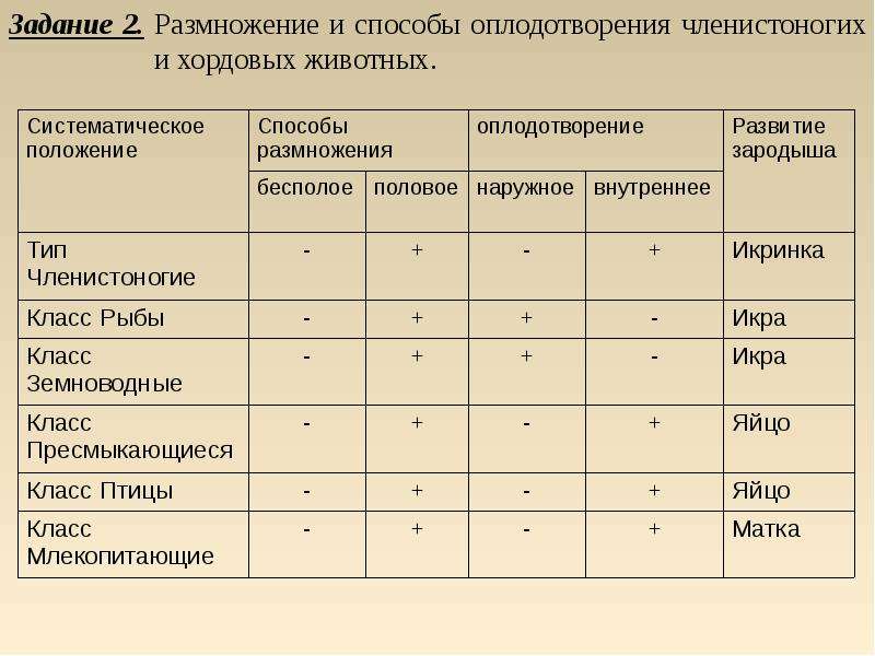 Эволюция размножения животных презентация