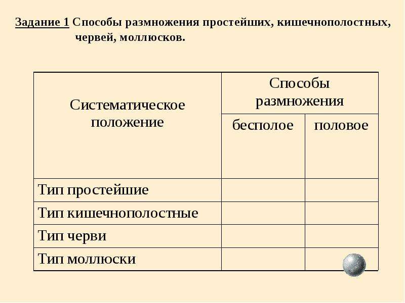 Способы размножения животных презентация