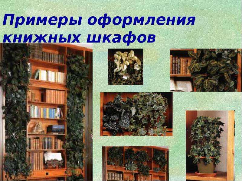 Проект по технологии 7 класс книжная полка