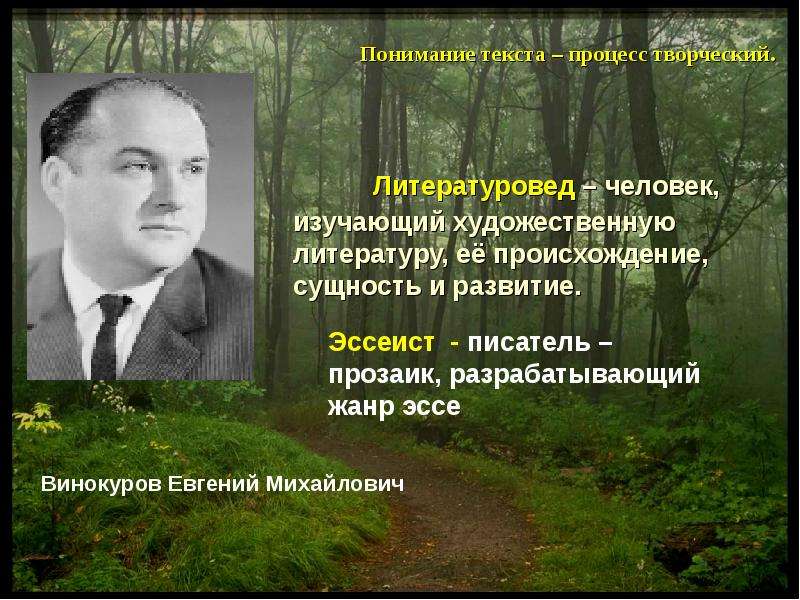 Литературовед это. Литературовед пример в литературе. Текст литературоведы. Акимов Владимир Михайлович литературовед. Евгений Винокуров москвичи.