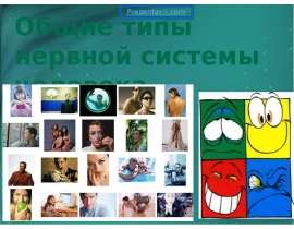 Общие типы нервной системы человека