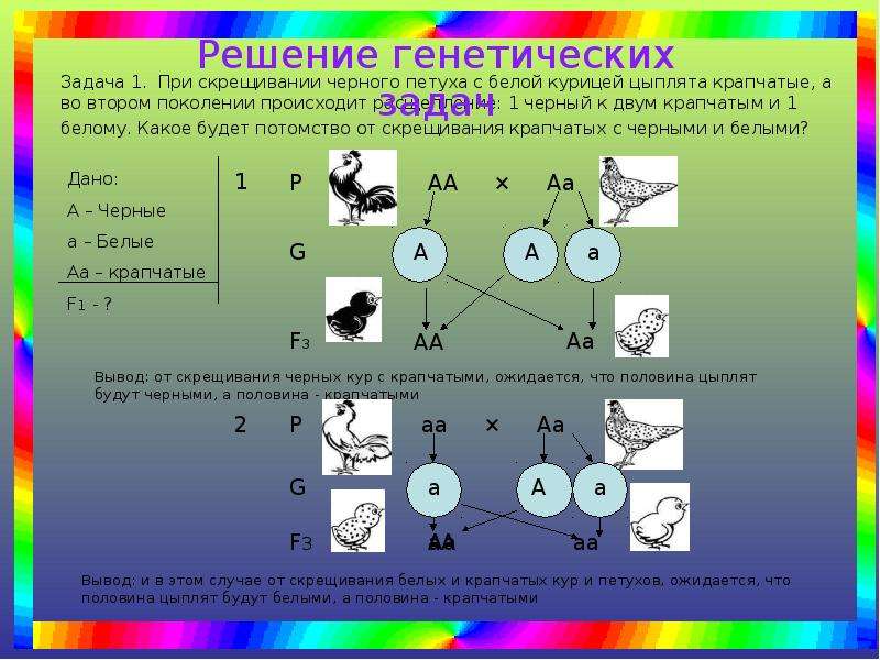 Составление простейших схем скрещивания