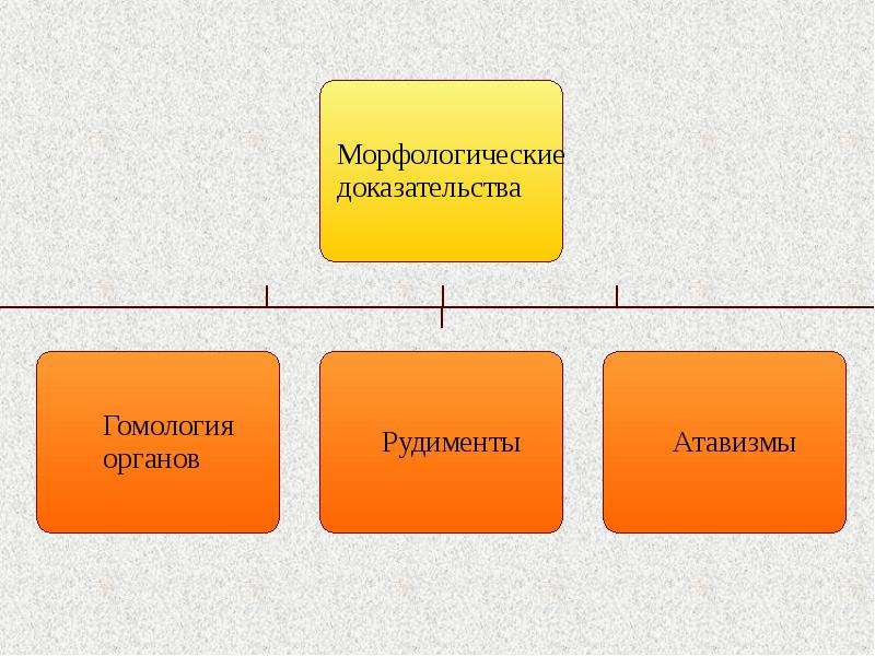 Класс подтверждения. Доказательства для презентации.