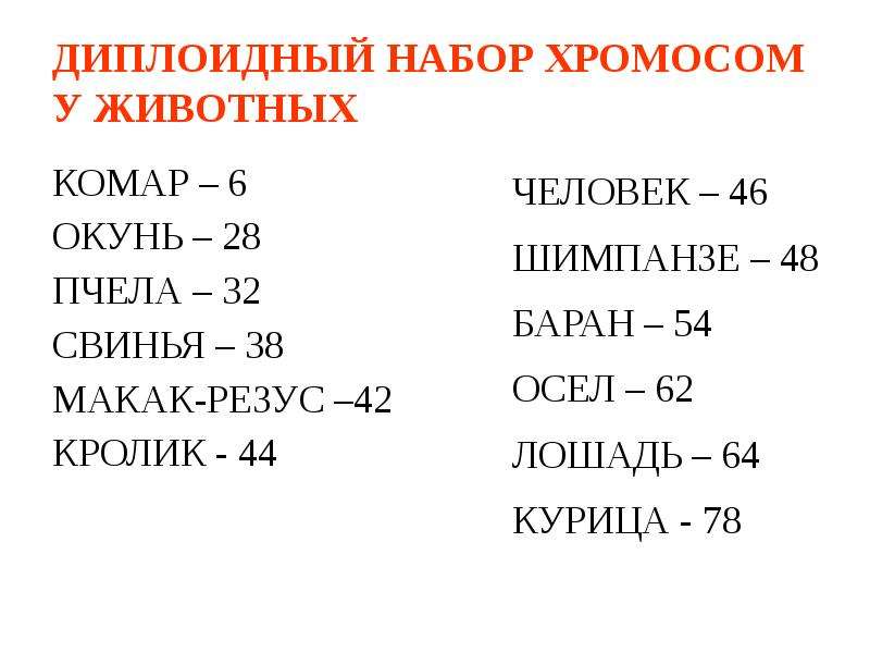 Количество наборов хромосом. Диплоидный и гаплоидный набор хромосом животных. Диплоидный набор. Диплоидный хромосомный набор. Хромосомы у животных таблица.