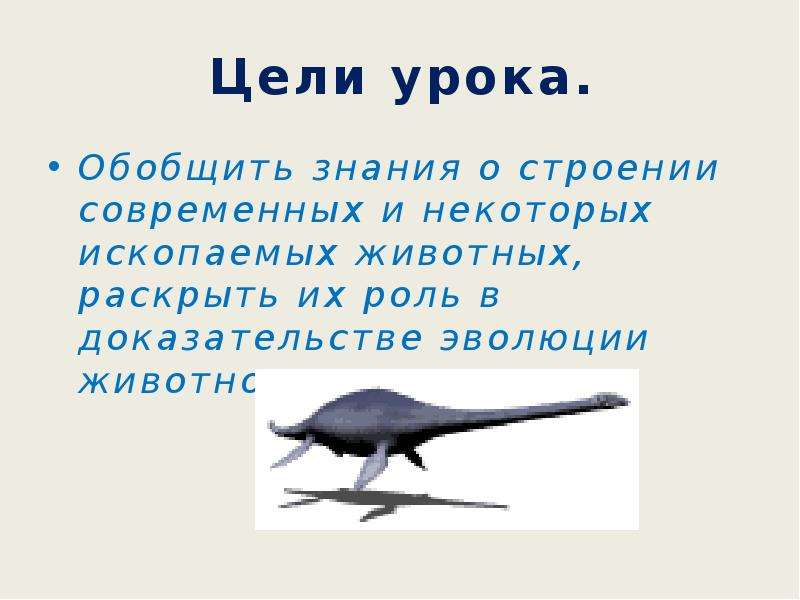 Животные урок урок 7 класс. Доказательства эволюции животного мира презентация 7 класс. Происхождение животных 7 класс. Презентация мир животных 7 класс. Урок обобщение в мире животных для 2 варианта цель урока.