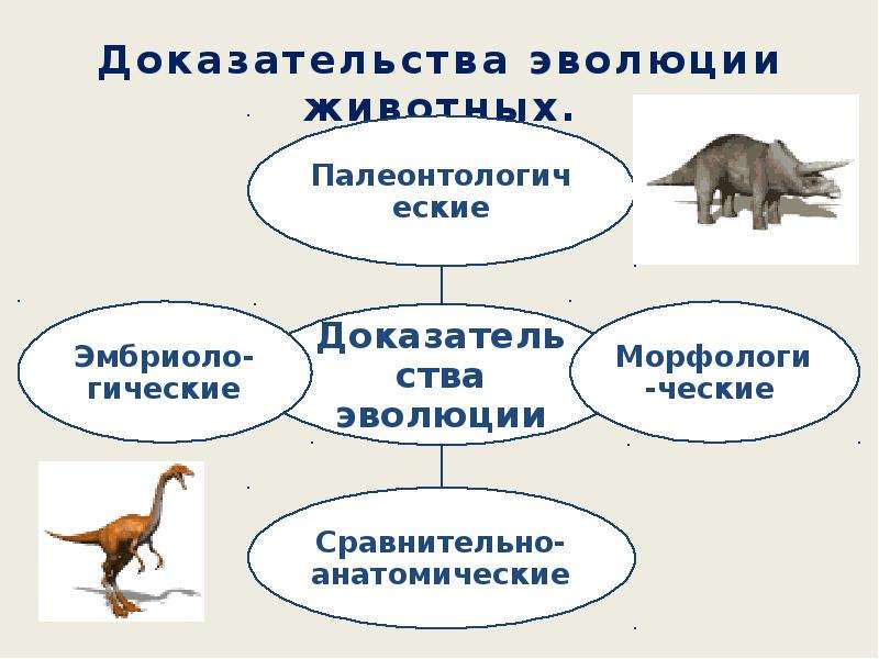 Происхождение животных основные этапы эволюции животного. Эволюция животных. Доказательства эволюции. Доказательства эволюции животных.
