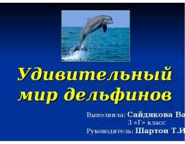 Удивительный мир дельфинов