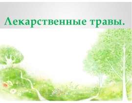 Лекарственные травы