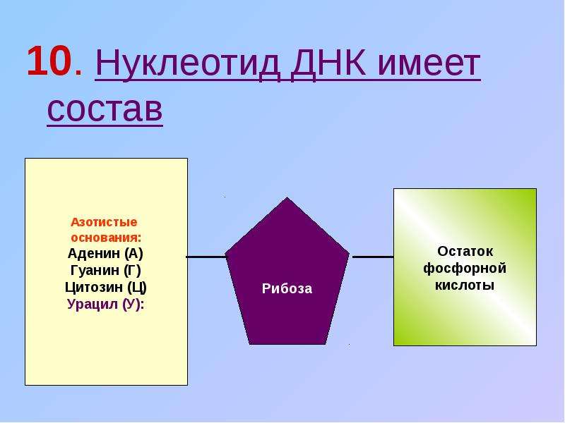 Презентация биополимеры 11 класс химия