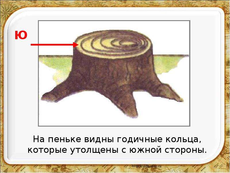 Нарисовать компас 2 класс окружающий мир