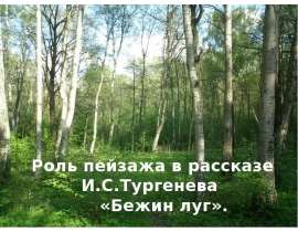 Роль пейзажа в рассказе И.С.Тургенева «Бежин луг»