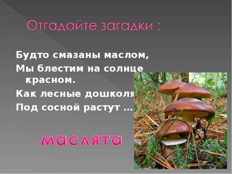 Грибы 2 класс. Грибы презентация 2 класс. Презентация грибы 2 класс школа России ФГОС. Презентация грибов 2 класс. Сообщение о грибах 2 класс по литературному чтению.