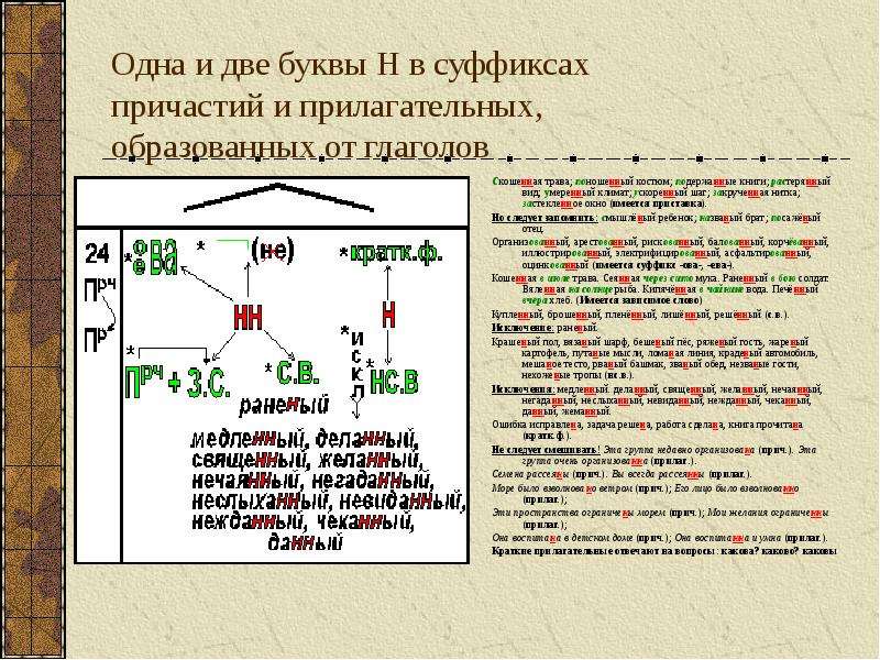 Правописание суффиксов причастий вариант 1. Одна и две буквы н в суффиксах прилагательных и причастий. Буквы в суффиксах причастий. Травинка суффикс. Трава с суффиксом.